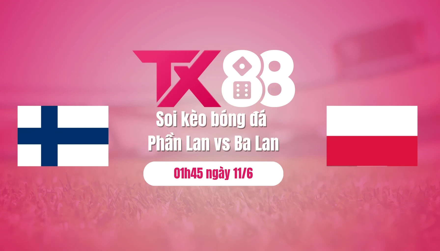 TX88 Soi kèo bóng đá Phần Lan vs Ba Lan, 01h45 ngày 11/6: Đại bàng trắng bay cao