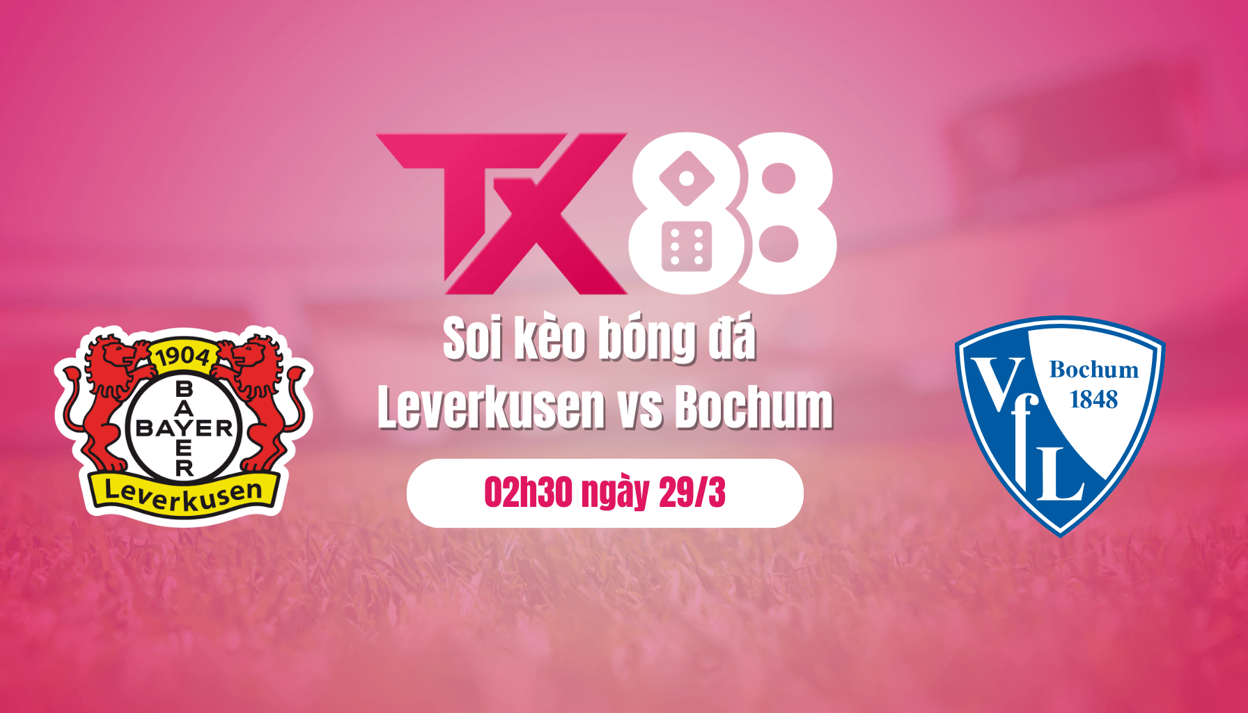 TX88 Soi kèo bóng đá Leverkusen vs Bochum, 02h30 ngày 29/3: Thắng là mệnh lệnh